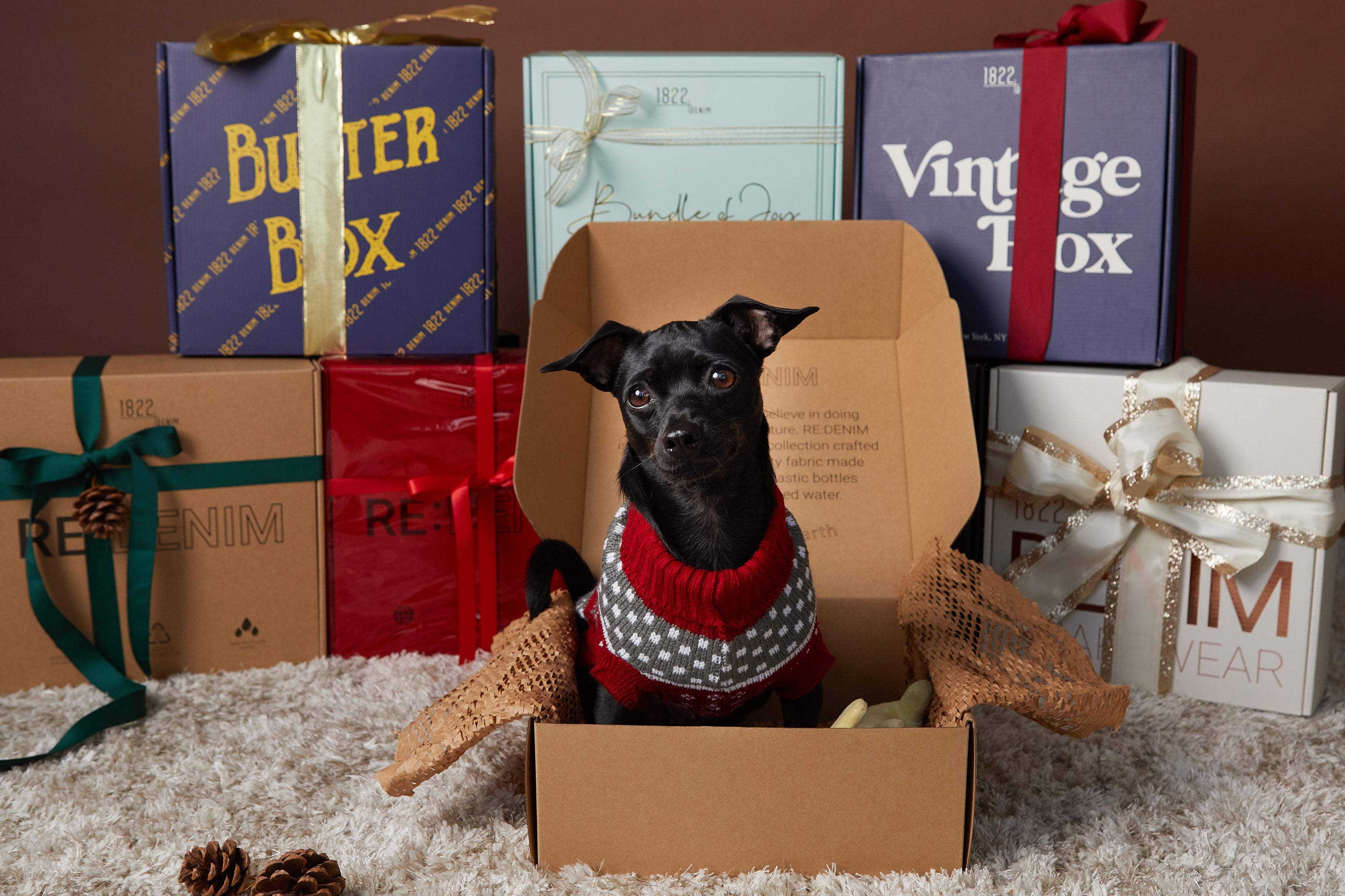 Small black dog wearing a sweater in an 1822 Denim curated denim box in front of Butter Box, Vintage Box, Bundle of Joy Maternity Box, Shapewear Box